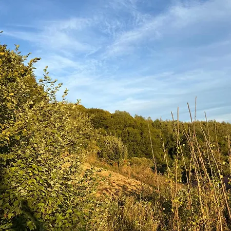 затишне місце біля лісу Apartment